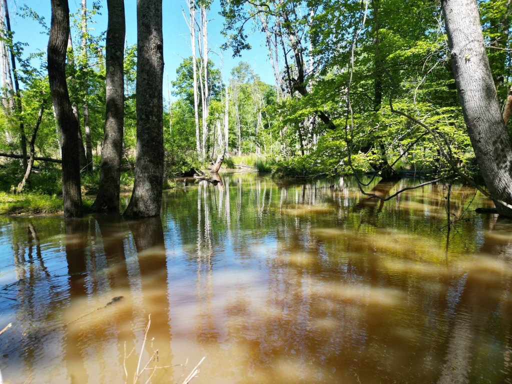 Picture 23