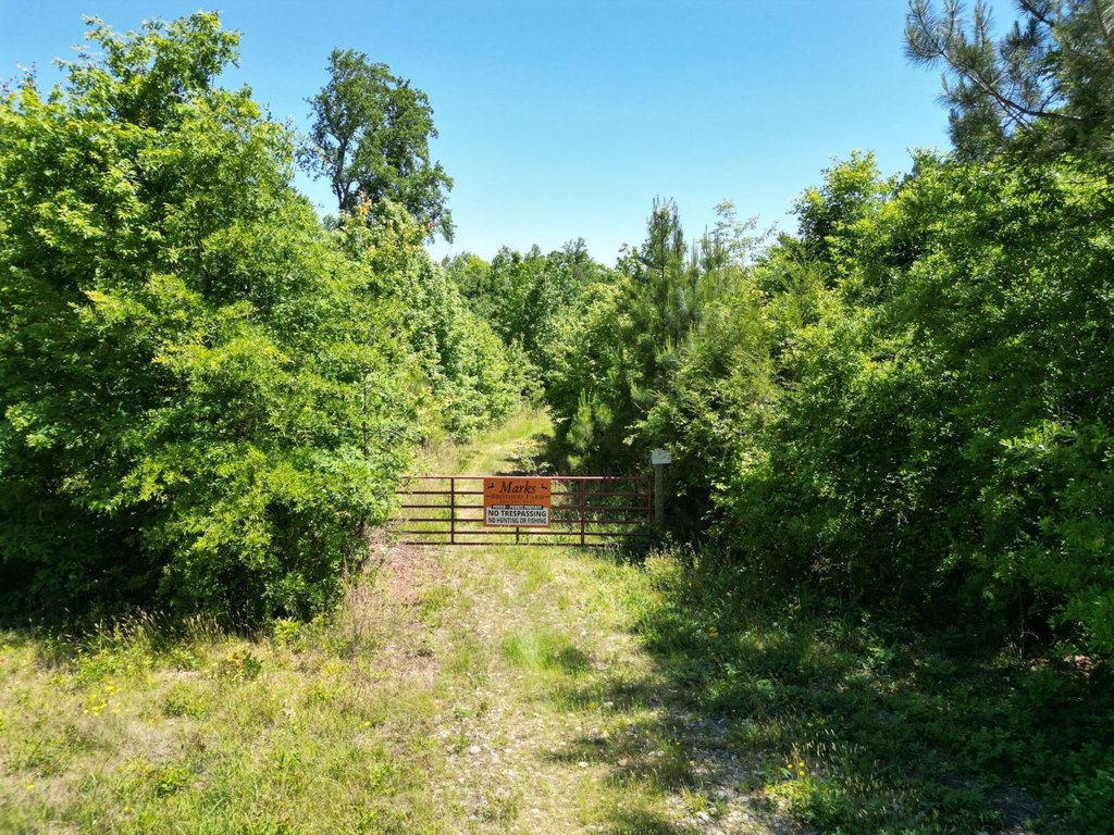 Picture 29