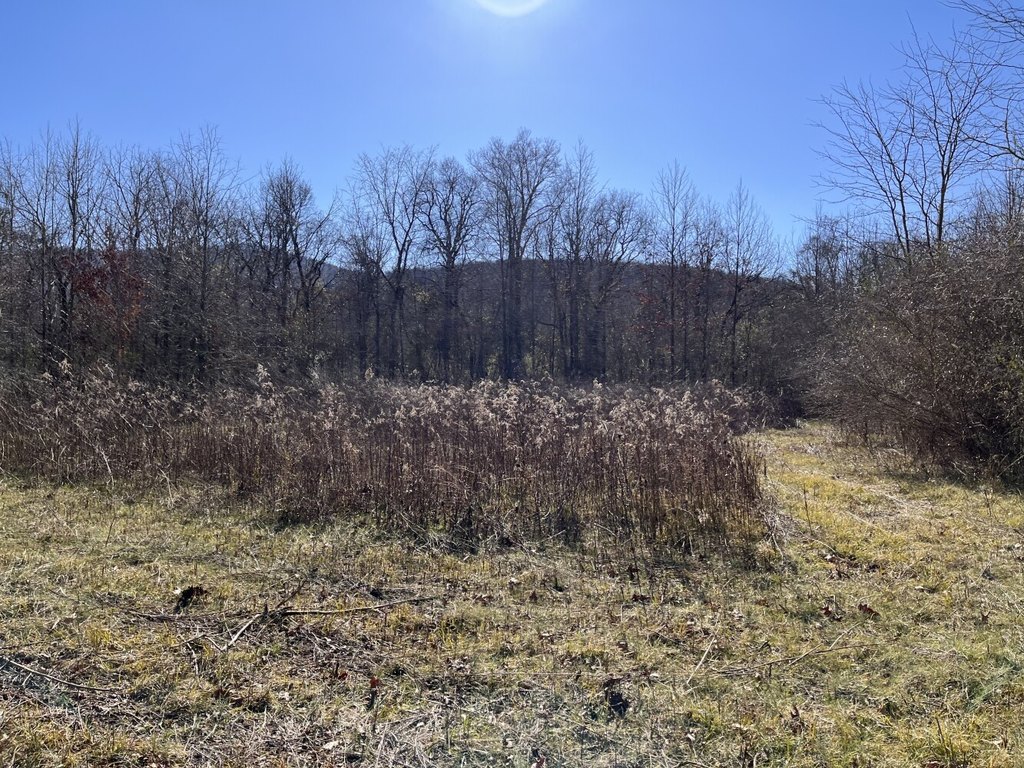 Picture 15