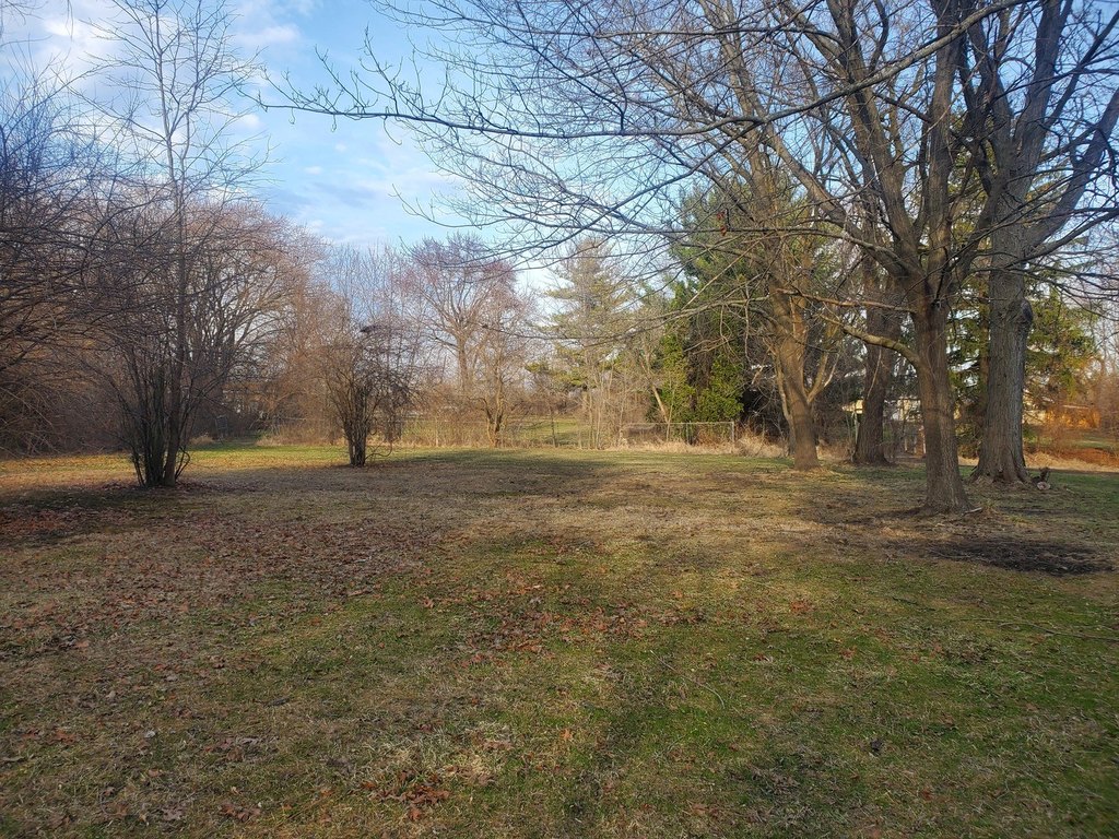 Picture 2