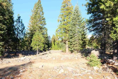 Land with Mt. Shasta Views