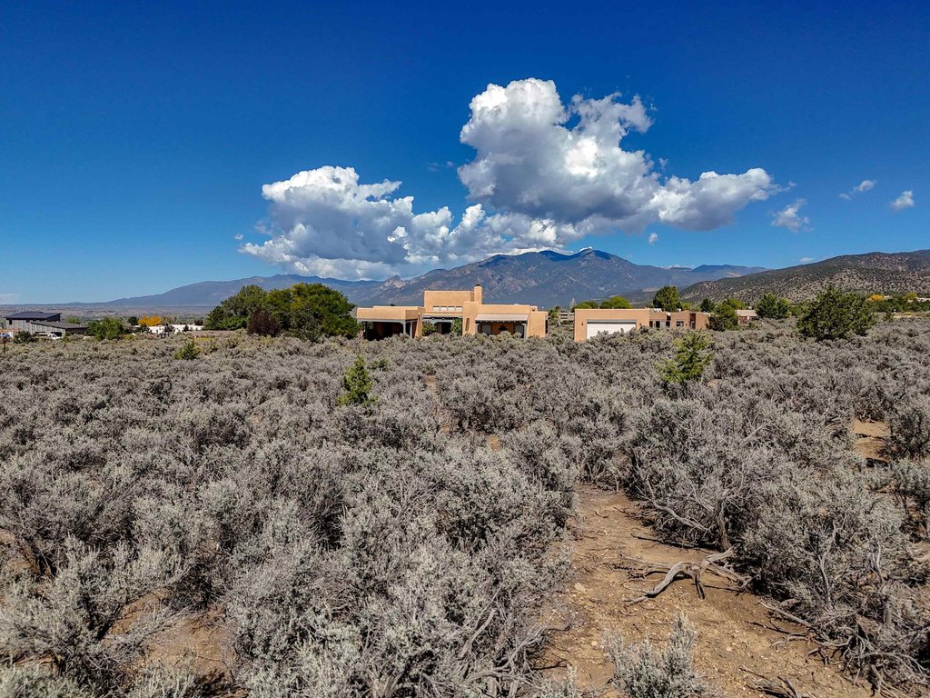 Picture 8