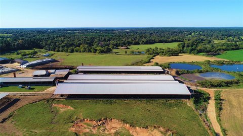 Operational Dairy Farm Land