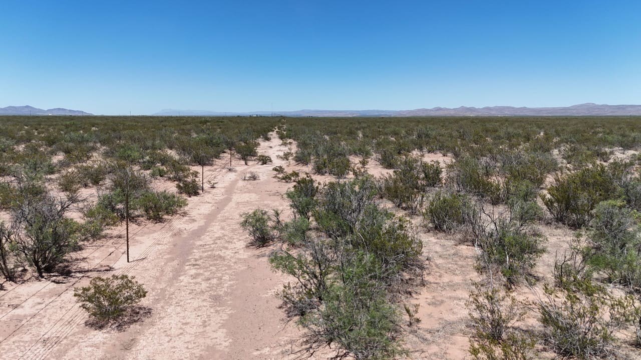 West Texas Vacant Land