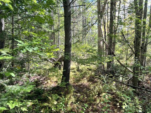 Land, Bowdoinham, ME