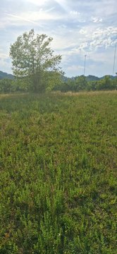 LAND - Nashville, TN