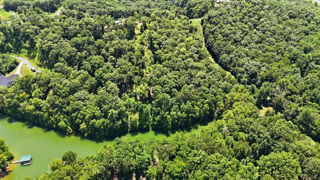 Picture 31