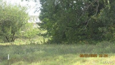 Picture 7