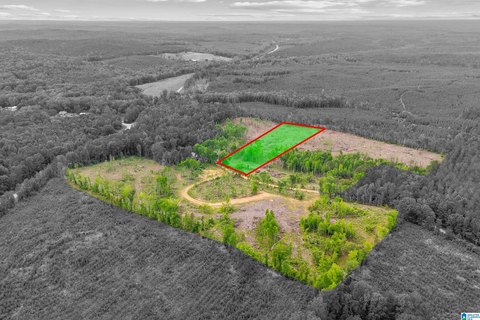 Unzoned Wooded Homesite Tract