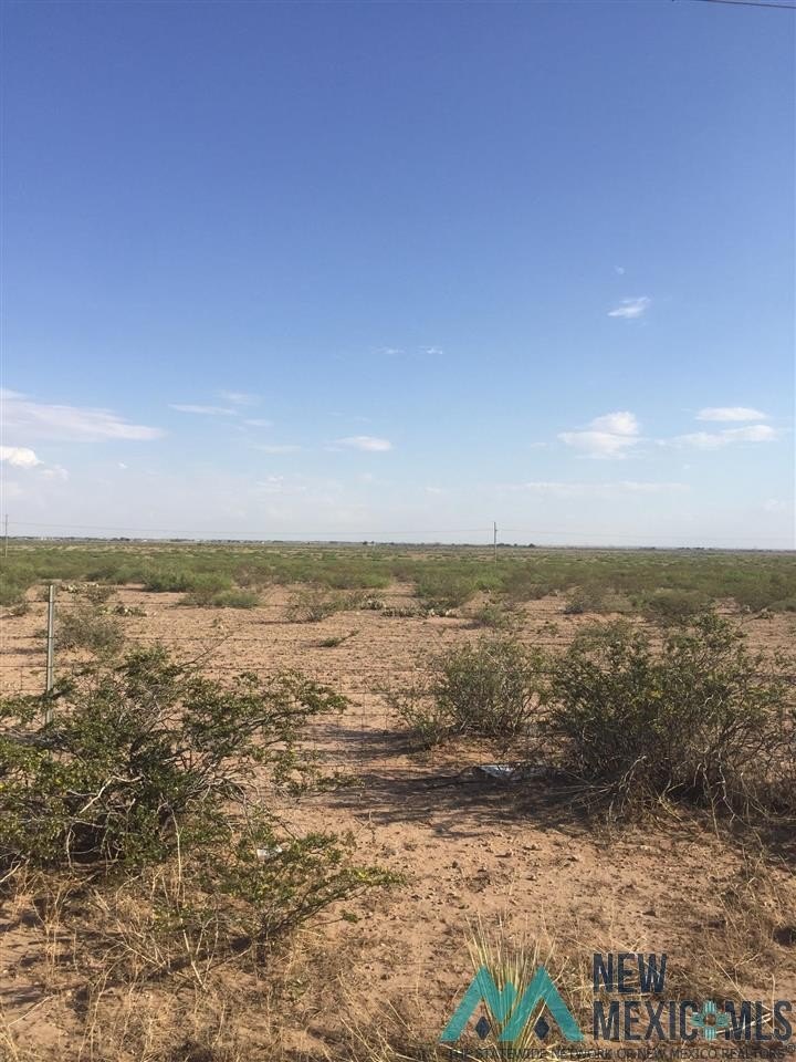 80 Acres Raw Land