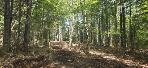 Land, Woodstock, ME