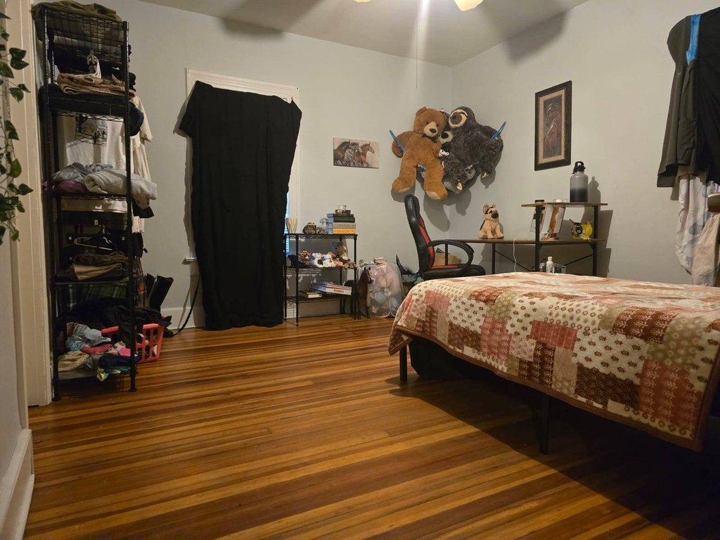 Picture 19