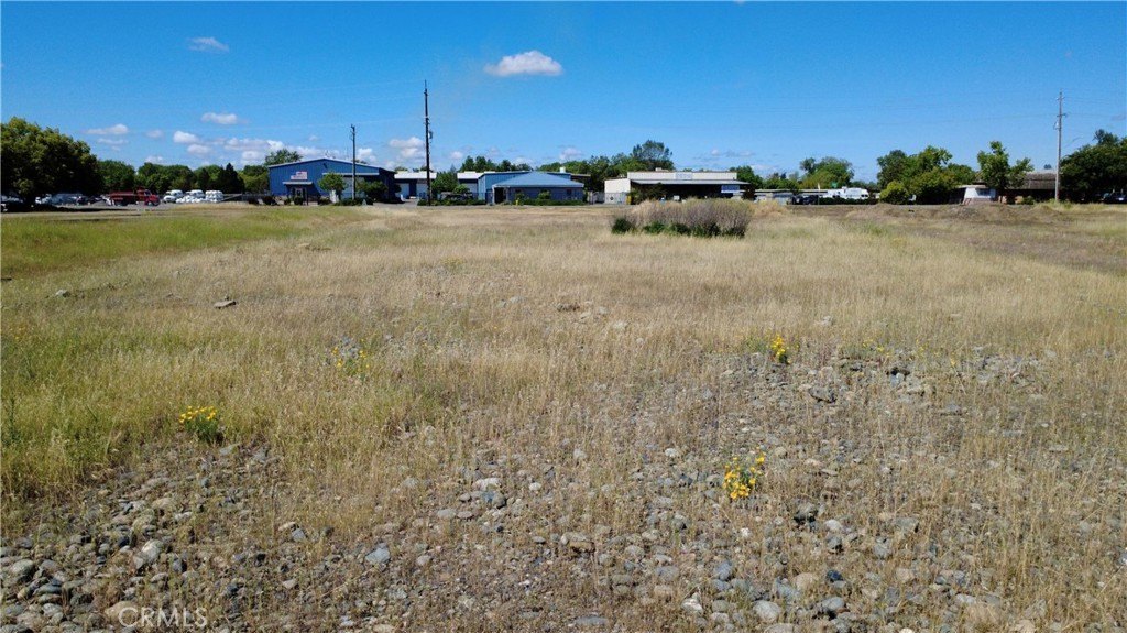 Picture 25