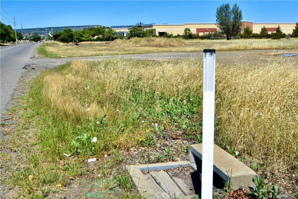 Picture 31