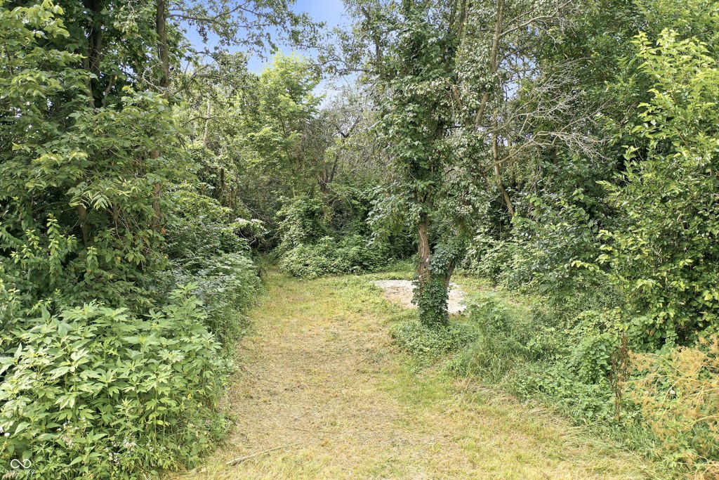 Picture 36