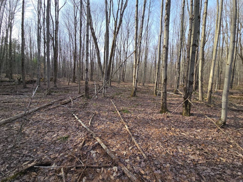 Picture 28
