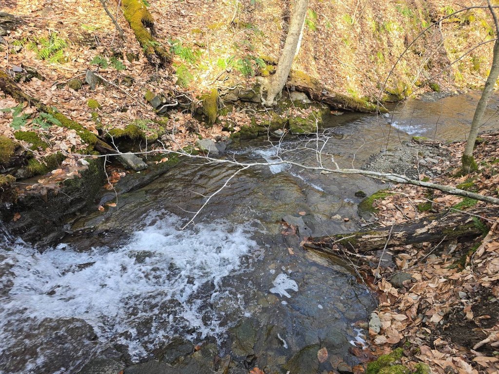 Picture 2
