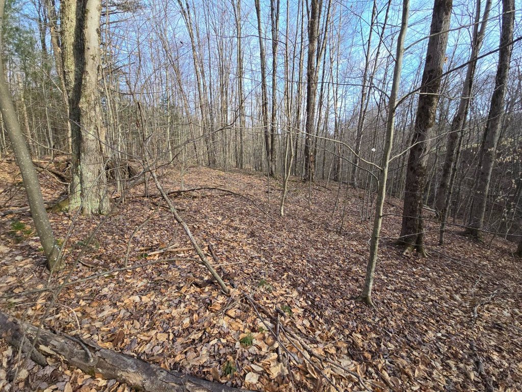 Picture 17