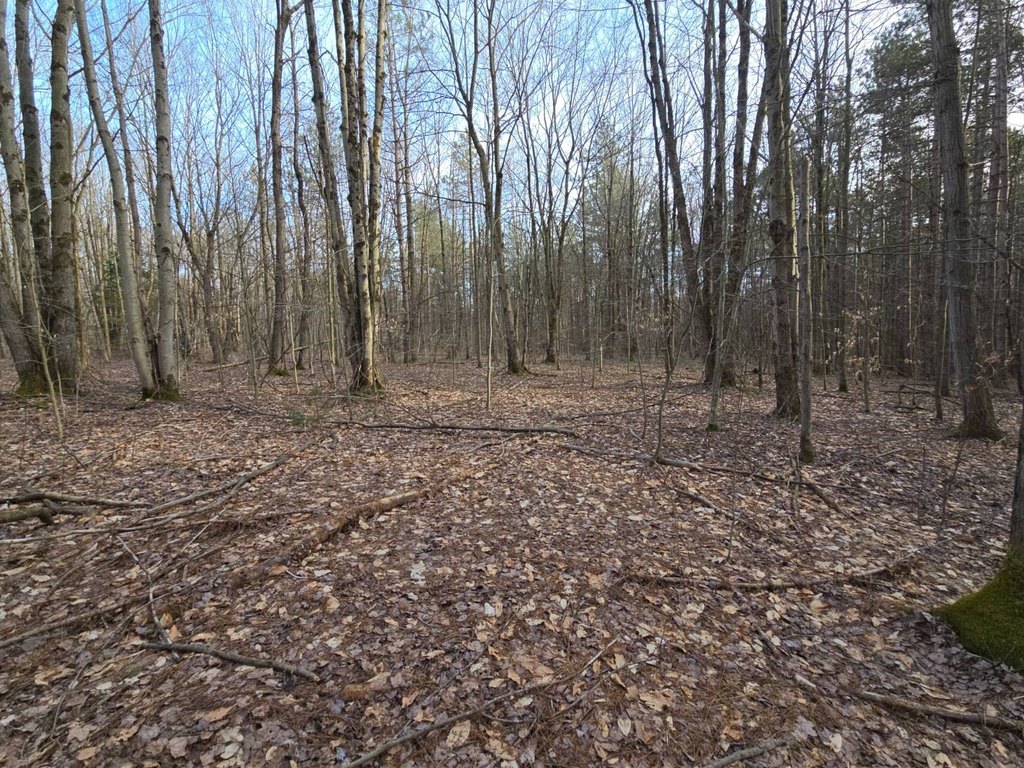 Picture 47