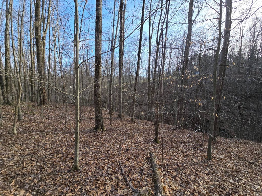 Picture 18
