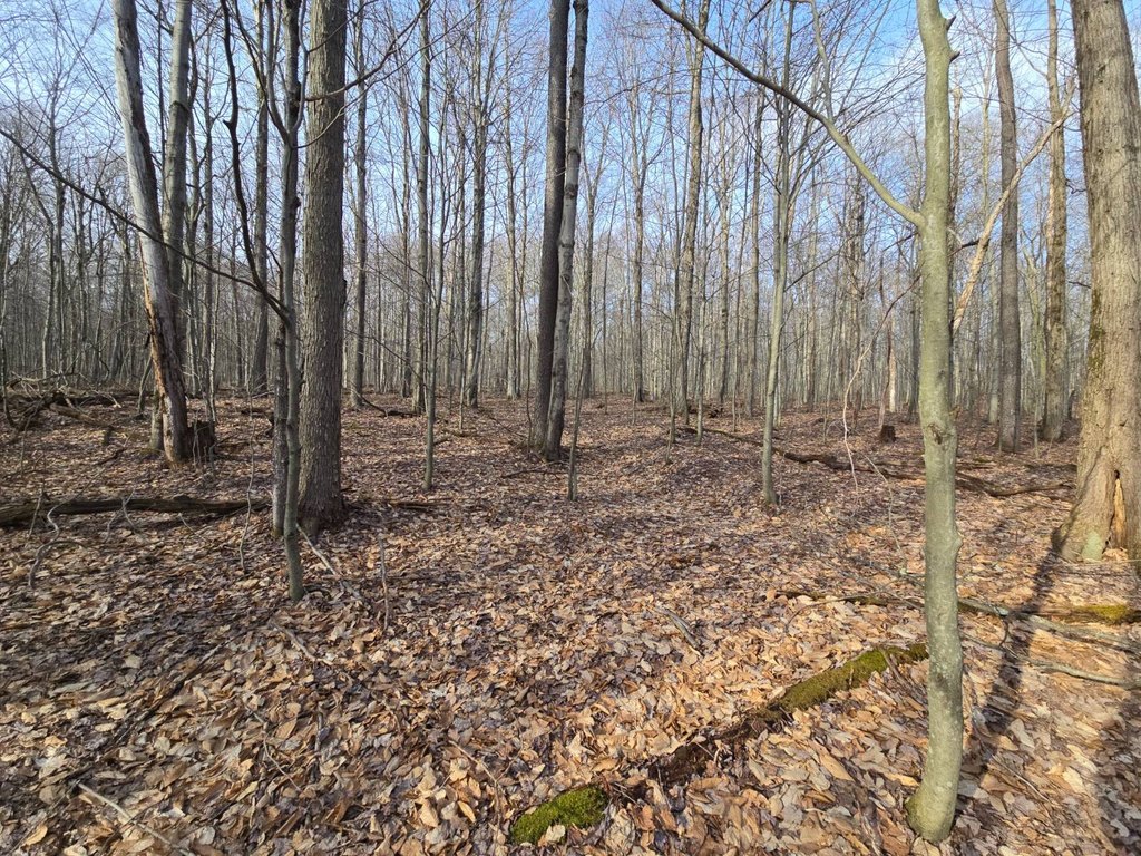 Picture 33