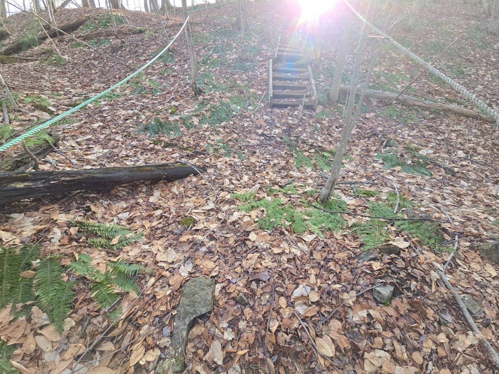 Picture 9