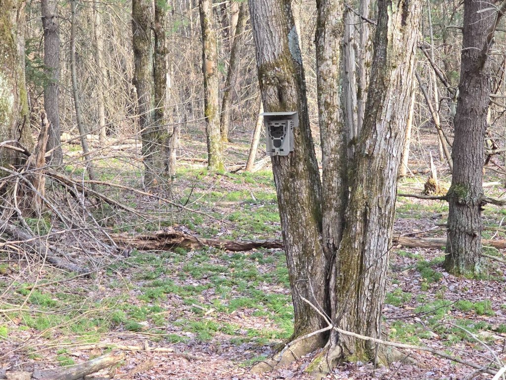 Picture 23