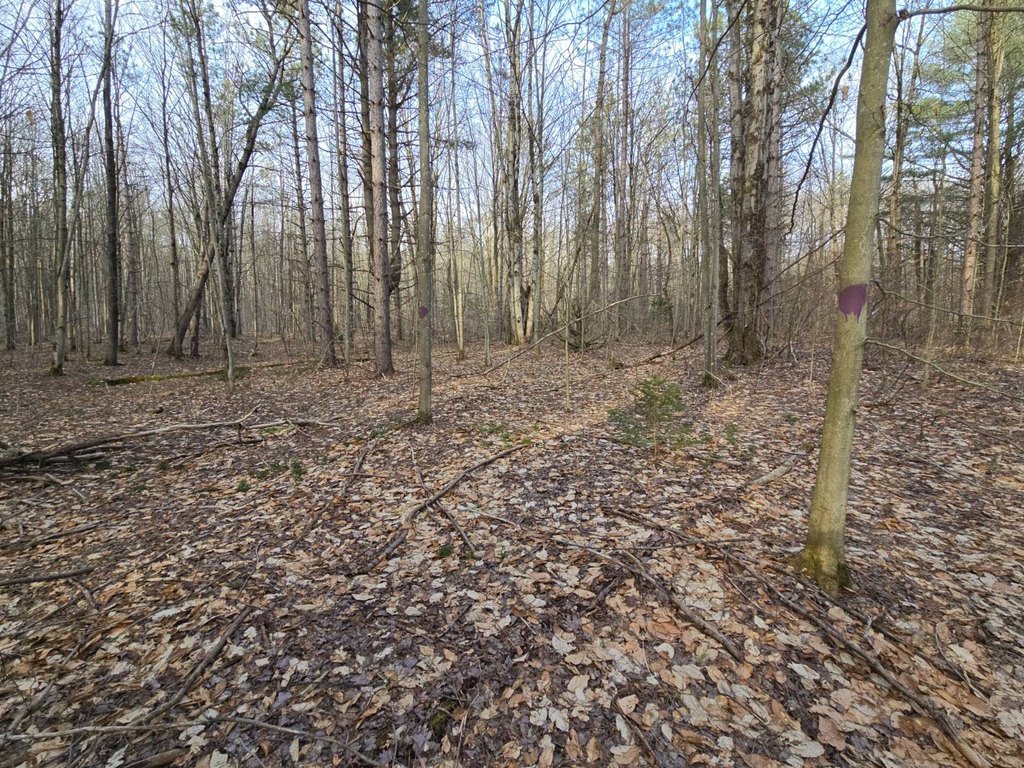 Picture 42