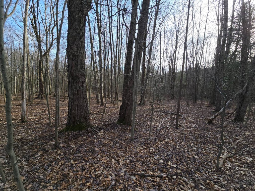 Picture 36