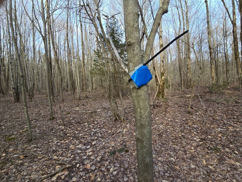 Picture 48