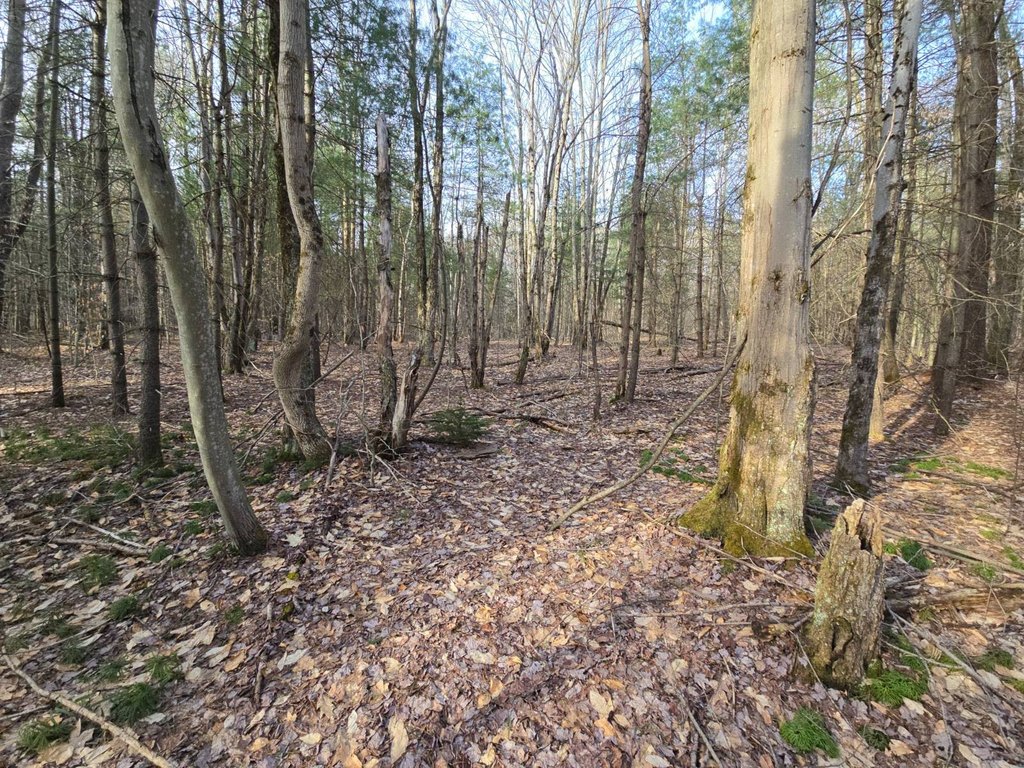 Picture 19