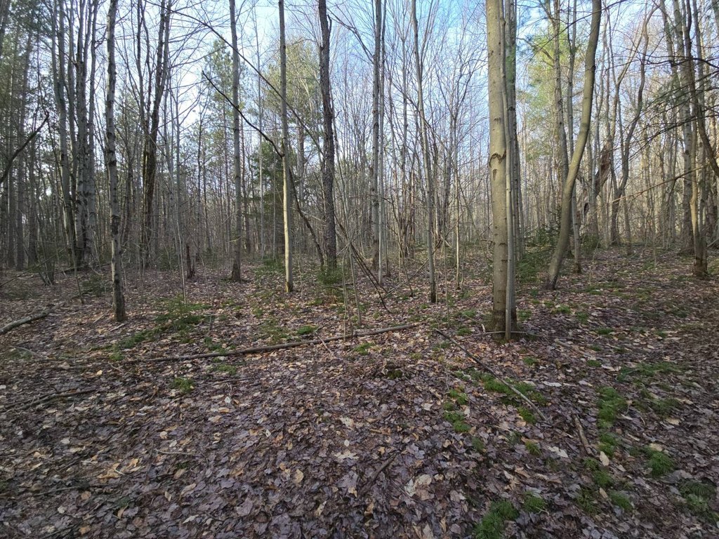 Picture 38