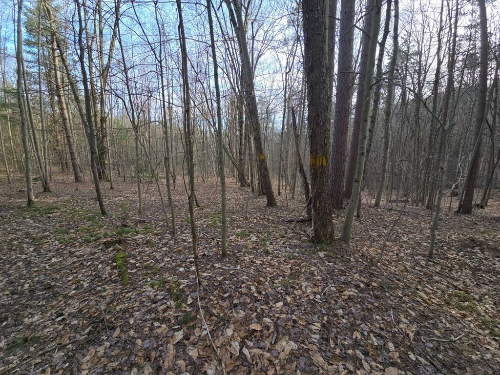 Picture 40