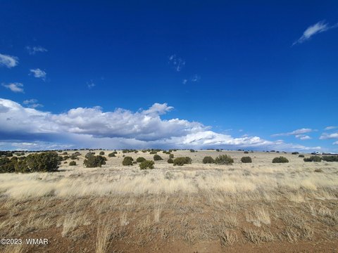 Land in Concho, Arizona