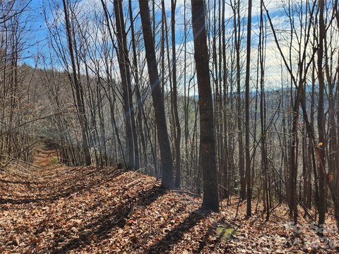 Wooded Hunting Land