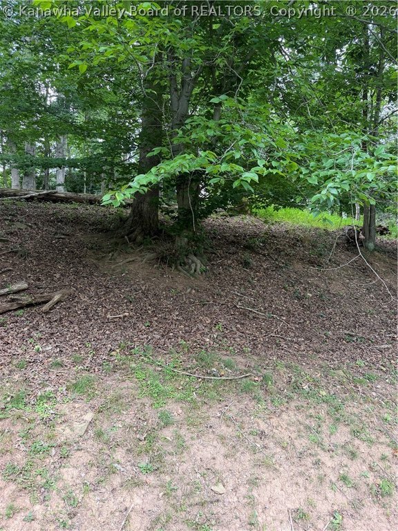 Picture 7