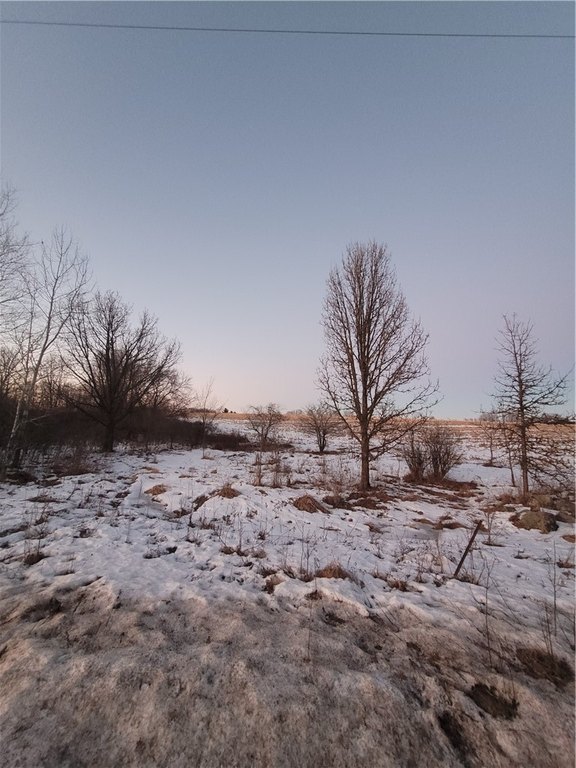 Picture 8