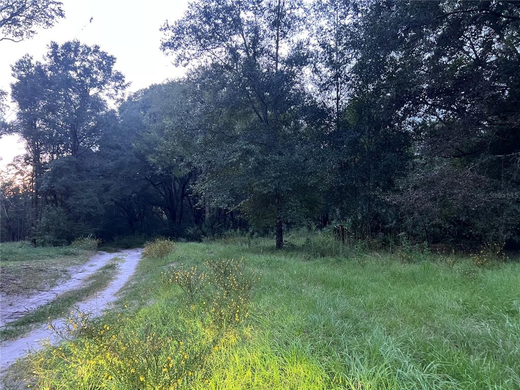 Picture 18