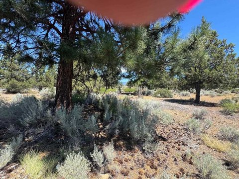 Residential Land Lot