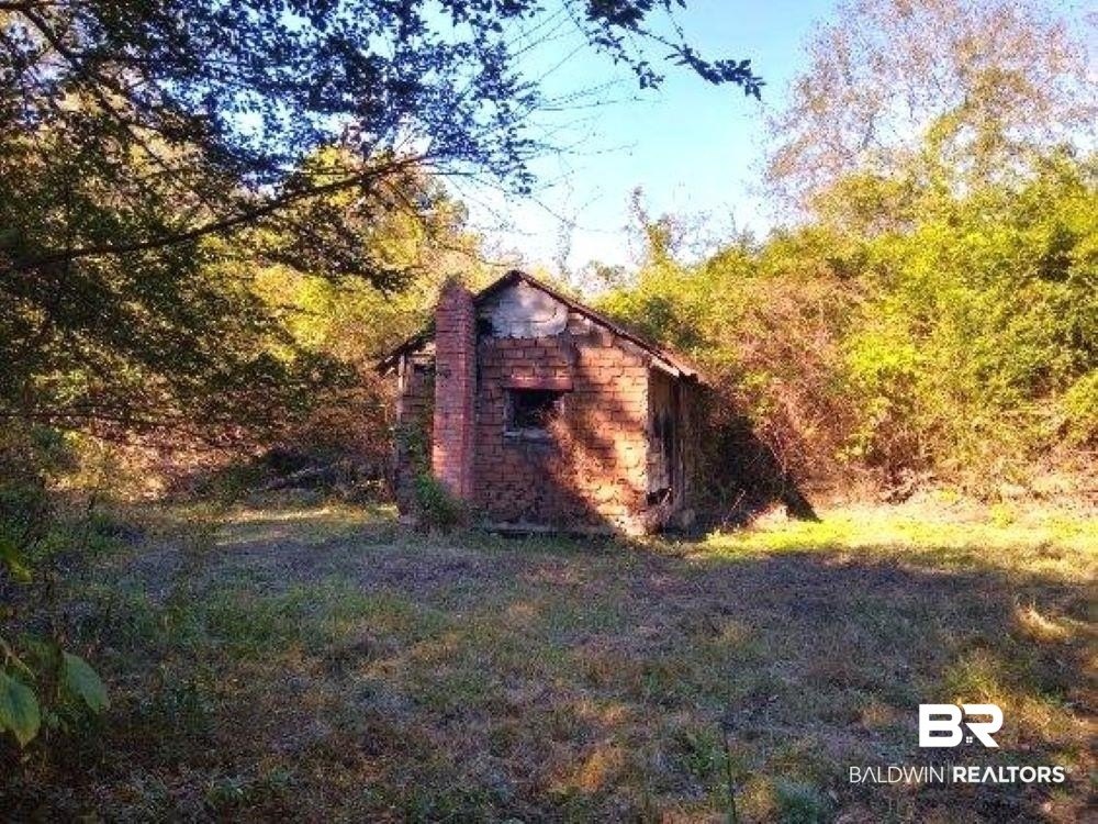 Picture 8