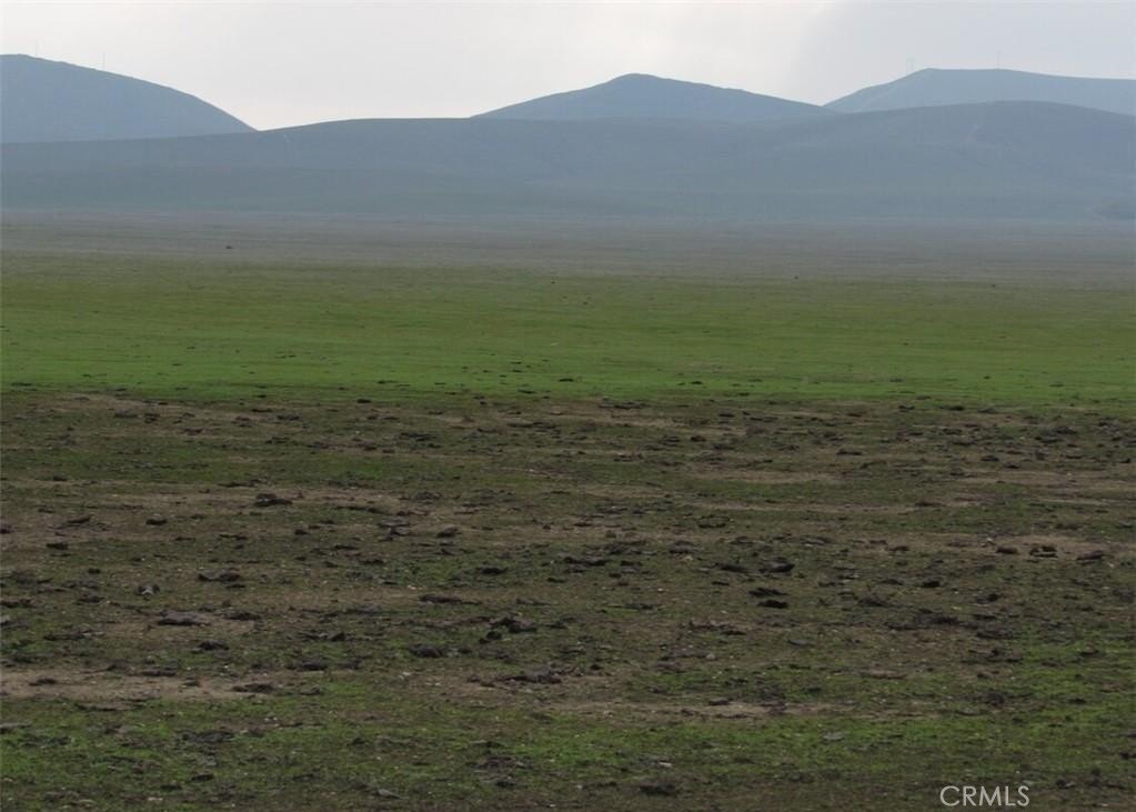Lost Hills Agricultural Land Parcel