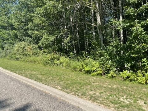 Houghton Lake Buildable Lot