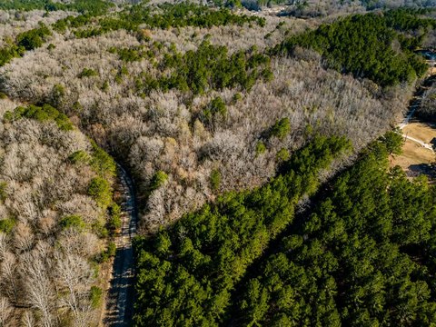 Land Parcel