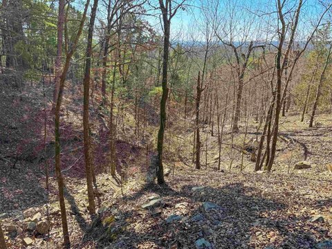 Residential Lot in High Point