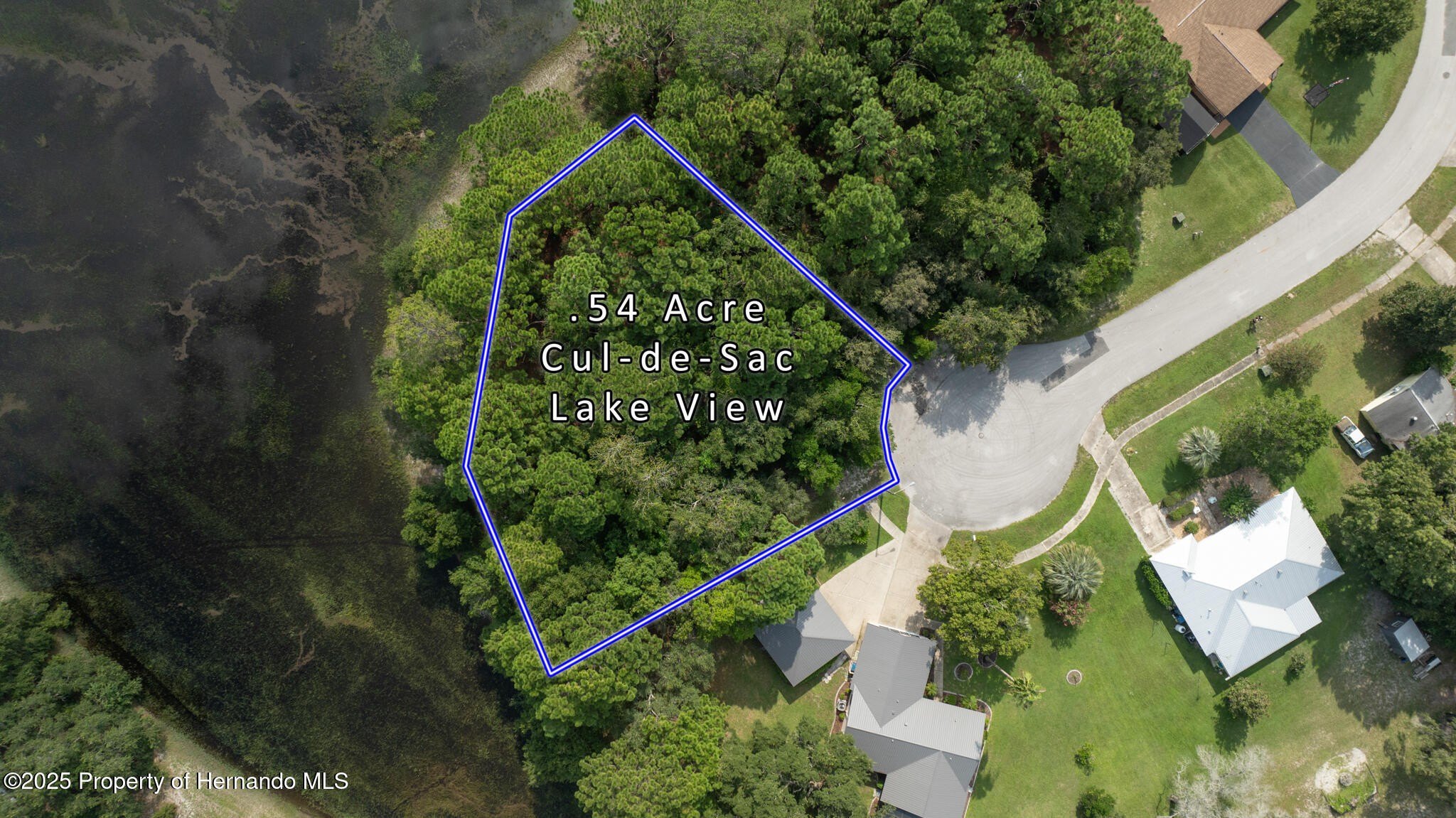 Oversized Lot in Spring Hill