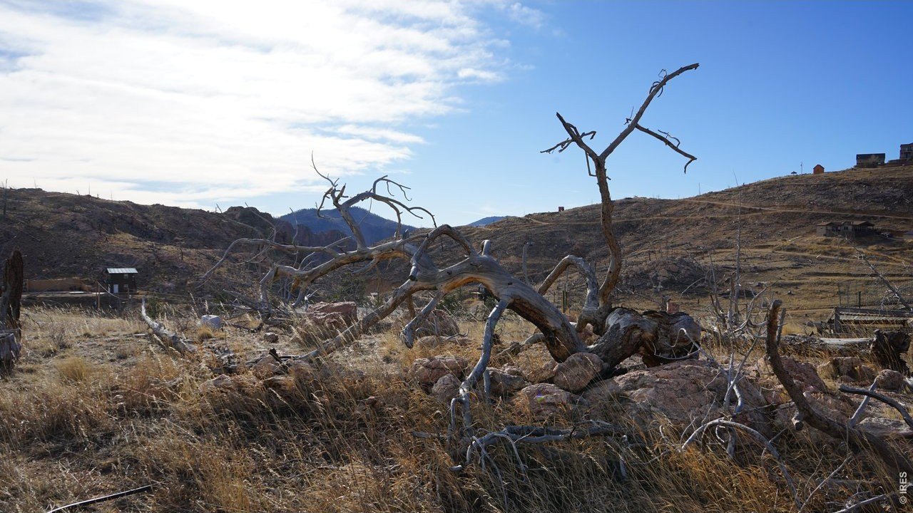 Land in Glacier View Meadows