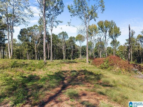 LAND/LOTS, ONEONTA, AL