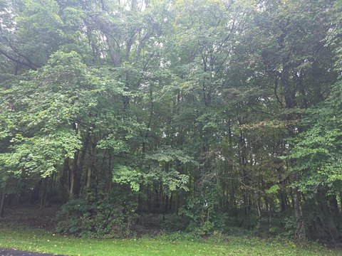 Land, Edison, OH