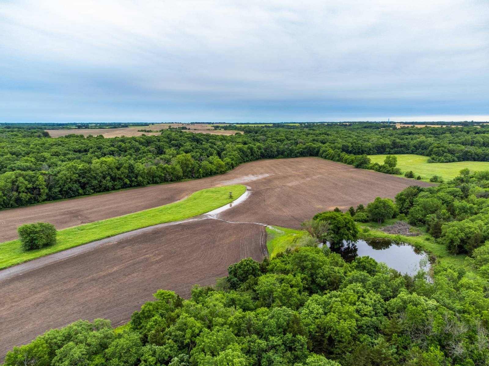 83-Acre Creek Bottom Hunting Farm
