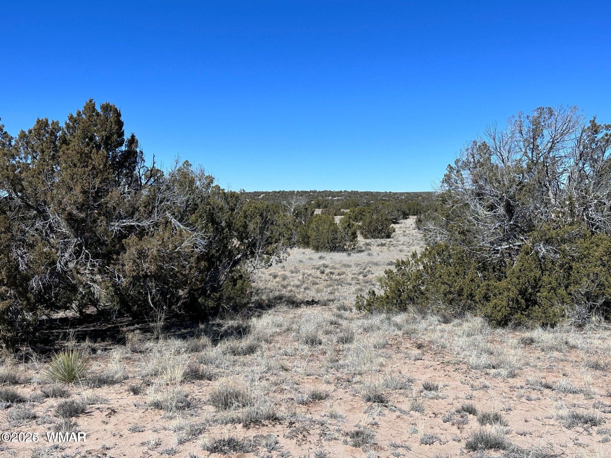 Arizona Agricultural Off-Grid Land